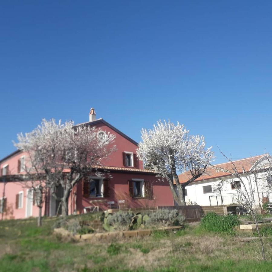Casa Rosa Bed & Breakfast San Costanzo Luaran gambar