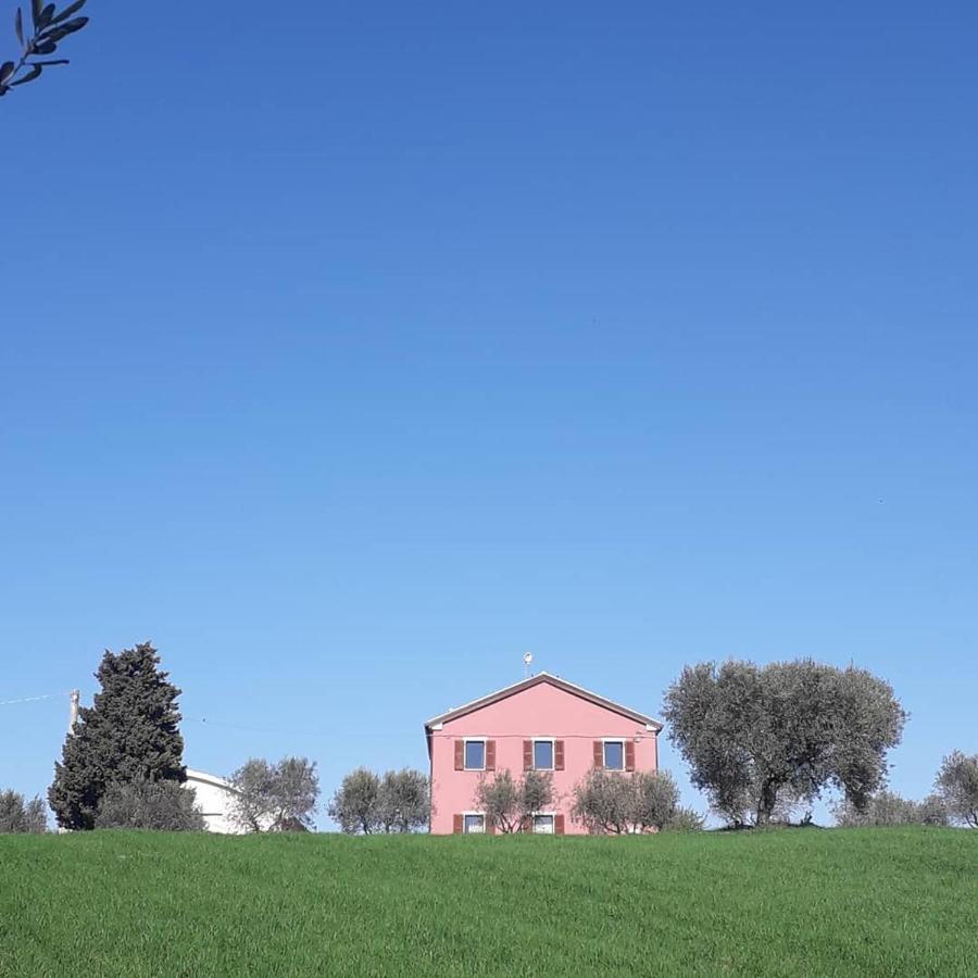Casa Rosa Bed & Breakfast San Costanzo Luaran gambar