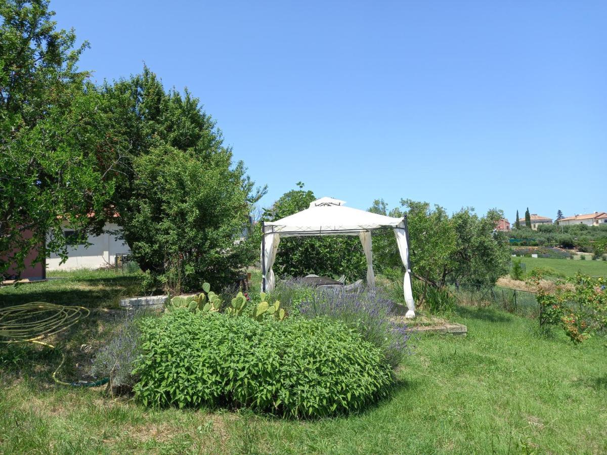 Casa Rosa Bed & Breakfast San Costanzo Luaran gambar
